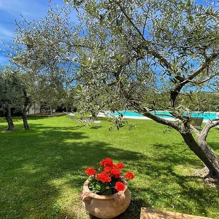 Sole Vino - Sensational Holiday Venue - Central Location - Sleeps 15 Belvedere (Perugia)